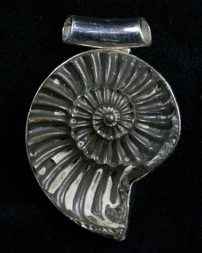 Pyrite Ammonite Pendant - Sterling Silver #4710